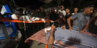 news-10082024-095223