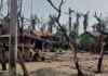 Escalating Myanmar Conflict Leads to Surge of Rohingya Refugees in Bangladesh news-12082024-123852