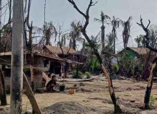 Escalating Myanmar Conflict Leads to Surge of Rohingya Refugees in Bangladesh news-12082024-123852