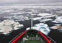 China and Russia’s Strategic Plans for the Arctic: What You Need to Know news-13082024-005053