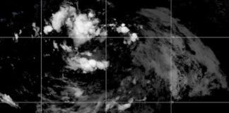 news-13082024-125333