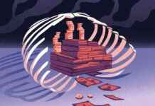 Outrage in China: Uncovering the Gruesome Corpse Scandal news-15082024-192040