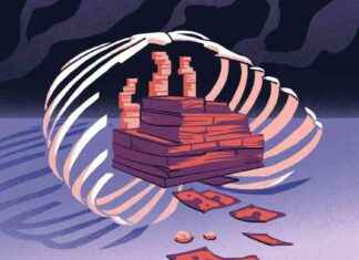 Outrage in China: Uncovering the Gruesome Corpse Scandal news-15082024-192040