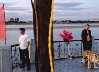 Addressing Regional Inequality: Challenges Faced by Xi Jinping news-16082024-012304