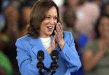 Harris’ Abbreviated Campaign Boosts Her to Lead temporarily news-19082024-001159