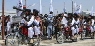 news-25082024-013337