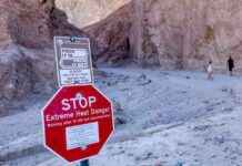 California Prepares for Increase in Heat-Related Deaths as National Temperatures Rise news-27082024-014614