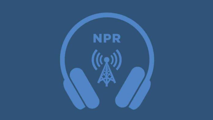 news-31082024-023204