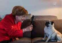 Former Chancellor Angela Merkel Turns Crime-Solving Detective in ‘Miss Merkel’ Novel news-31082024-143235