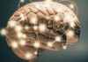 Metabolic Brain Boost Enhances Memory in Alzheimer’s Mice news-02092024-143659