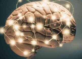 Metabolic Brain Boost Enhances Memory in Alzheimer’s Mice news-02092024-143659