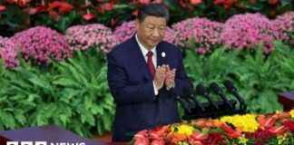 China-Africa Summit: President Xi Jinping Commits to Sustainable Development news-10092024-031301