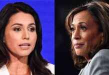 Tulsi Gabbard’s Impactful Showdown with Harris at Tuesday’s Debate news-10092024-055203
