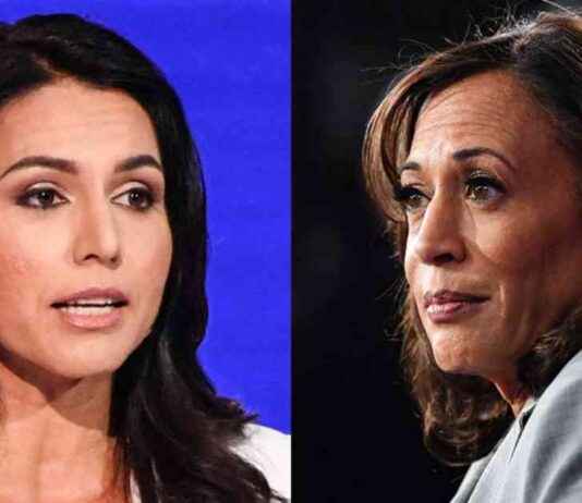 Tulsi Gabbard’s Impactful Showdown with Harris at Tuesday’s Debate news-10092024-055203