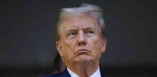 news-13092024-022628