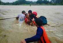 Shanghai Typhoon Bebinca: Flights and Train Services Halted news-15092024-165156