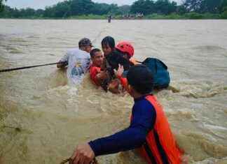 Shanghai Typhoon Bebinca: Flights and Train Services Halted news-15092024-165156