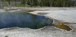 news-20092024-064453