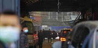 Genetic Research Links COVID Pandemic Origin to Wuhan Animal Market news-21092024-131223