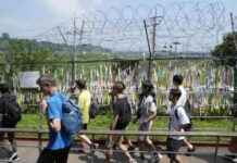 Reunification Prospects: North and South Korea’s Path to Unity and Peace news-30092024-123402
