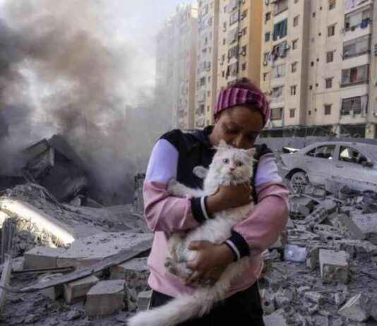 Israeli Airstrike Kills 9 in Beirut: Lebanon Invasion Escalates news-06102024-030412