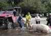 Hurricane Milton Leaves 16 Dead in Florida, Rescue and Recovery Underway news-12102024-062709