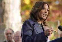 Expanding Voter Reach: Harris and Trump Appeal to New Audiences news-17102024-090153