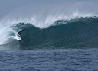 Tragic Incident: Surfer Fatally Impaled by Swordfish in Indonesia news-22102024-220118