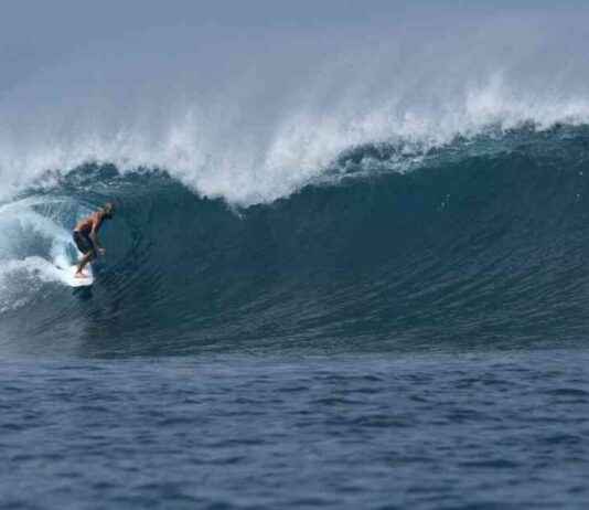 Tragic Incident: Surfer Fatally Impaled by Swordfish in Indonesia news-22102024-220118