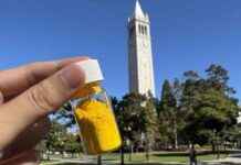 Eco-Friendly Powder: Remove CO₂ Equivalent to a Tree with Just Half a Pound news-24102024-101806