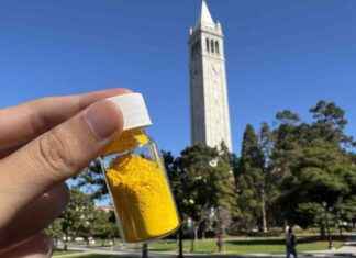 Eco-Friendly Powder: Remove CO₂ Equivalent to a Tree with Just Half a Pound news-24102024-101806