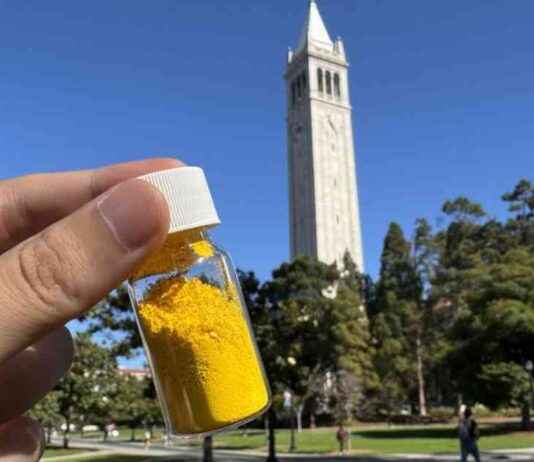 Eco-Friendly Powder: Remove CO₂ Equivalent to a Tree with Just Half a Pound news-24102024-101806