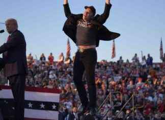 Elon Musk’s Voter Lottery: Legal or Illegal? news-25102024-043102