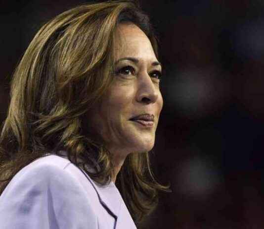Kamala Harris: A Strong Alternative to Donald Trump news-04112024-164741