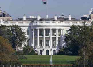 After the Election: What Comes Next After This Challenging Campaign Period news-05112024-165513