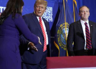 news-12112024-095208