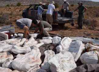 From Jurassic to Exposition Park: A 150-Million-Year Journey news-15112024-154400