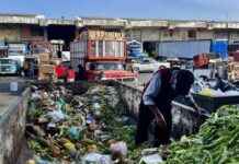 How Thanksgiving Food Waste Contributes to Climate Change: A Closer Look news-26112024-172830