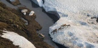alaskas-climate-crisis-mpact-and-forecast-for-the-next-four-years