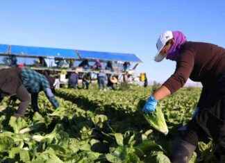 California Economy at Odds with Trump’s Deportation Plan: A Column Analysis california-economy-at-odds-with-trumps-deportation-plan-a-column-analysis