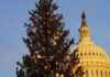 Cutting Christmas Trees on Public Lands: Forest Service Encourages with Permits cutting-christmas-trees-on-public-lands-forest-service-encourages-with-permits