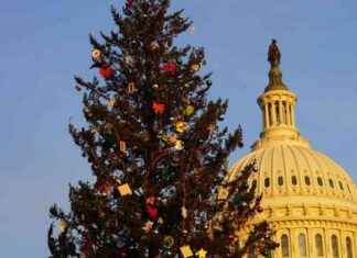 Cutting Christmas Trees on Public Lands: Forest Service Encourages with Permits cutting-christmas-trees-on-public-lands-forest-service-encourages-with-permits