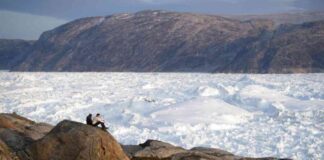 greenland-rejects-trumps-purchase-proposal-latest-update
