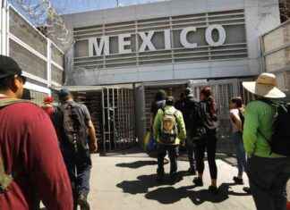 strategies-for-mexico-to-counter-trumps-threats-expert-opinions