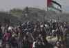 Palestinians Return to Northern Gaza as Cease-Fire Holds palestinians-return-to-northern-gaza-as-cease-fire-holds
