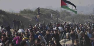 palestinians-return-to-northern-gaza-as-cease-fire-holds