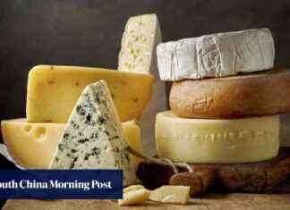 Can Microbes in Food Ease Autism Symptoms? can-microbes-in-food-ease-autism-symptoms