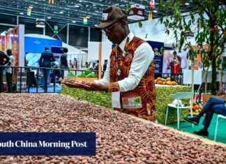 nvesting-in-vory-coast-cocoa-beans-chinas-chocolate-factory-strategy
