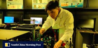 super-thin-fiber-for-nerve-cell-maging-in-brain-discovery